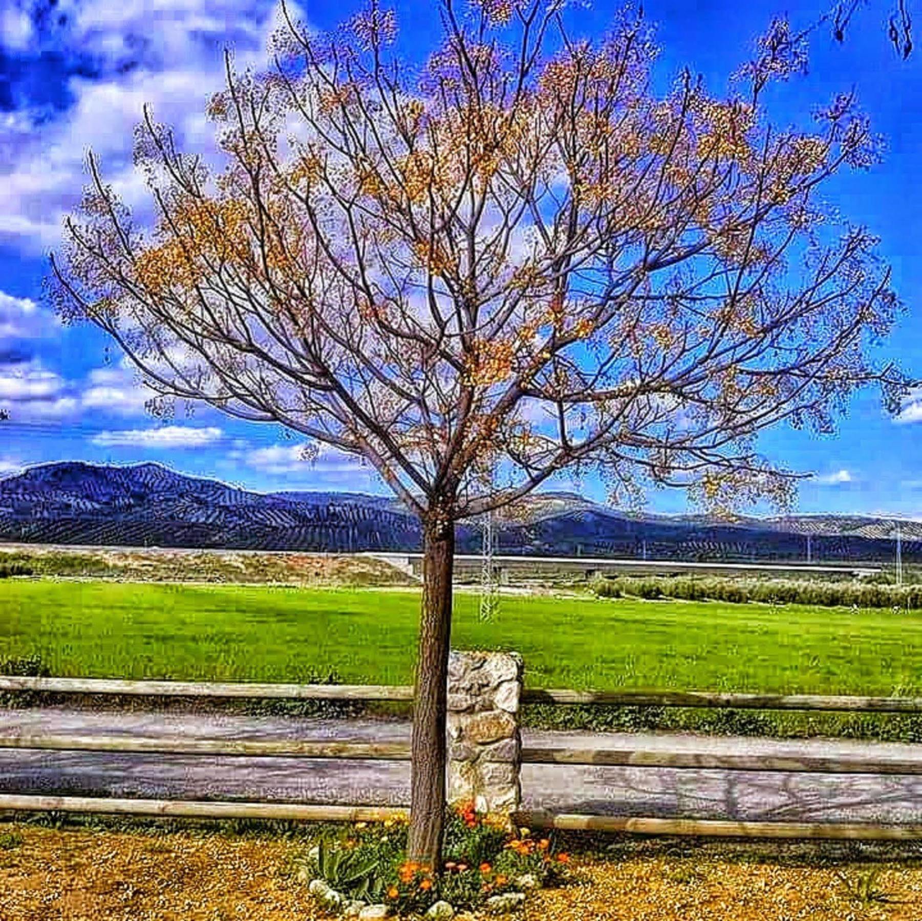 Alojamiento Rural El Cortijuelo Hotel Illora Luaran gambar